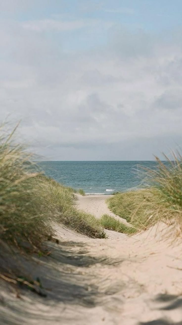 Summer Reverie